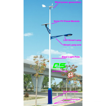 WPSRR-7704 3~15m Municipal Road Hot DIP Galvanized Steet Light Pole style